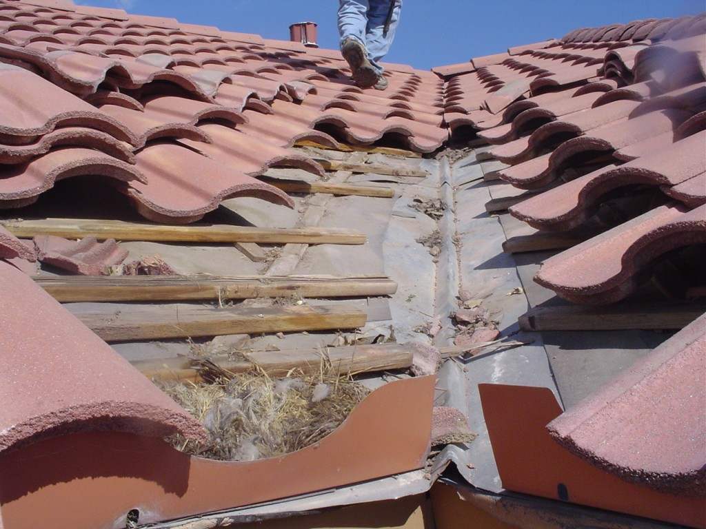 Person Fixing Damaged Tile Roof